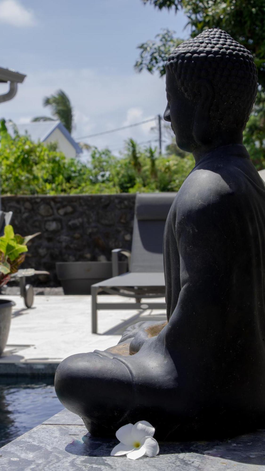 Le Beau Vallon 1- Jacuzzi Privatif Et Piscine Chauffee Partagee Saint Benoit Ngoại thất bức ảnh